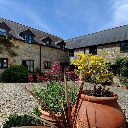 Rose Cottage Musbury Dış mekan fotoğraf