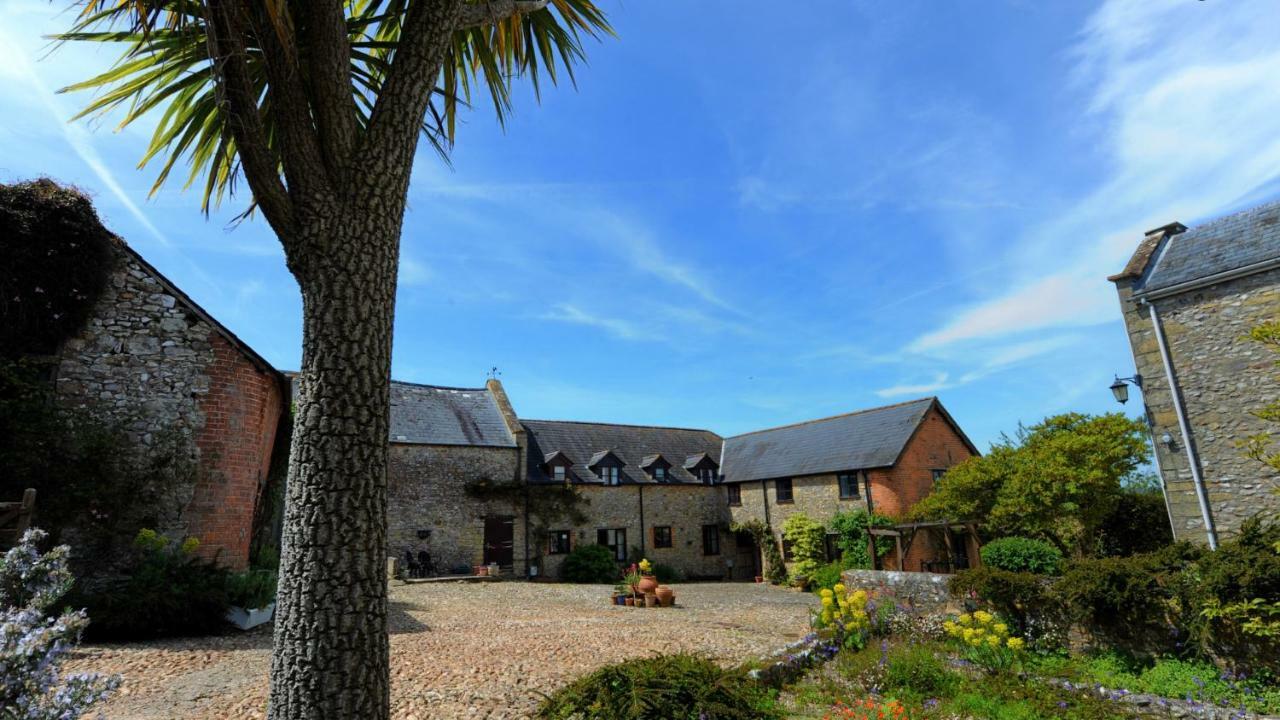 Rose Cottage Musbury Dış mekan fotoğraf